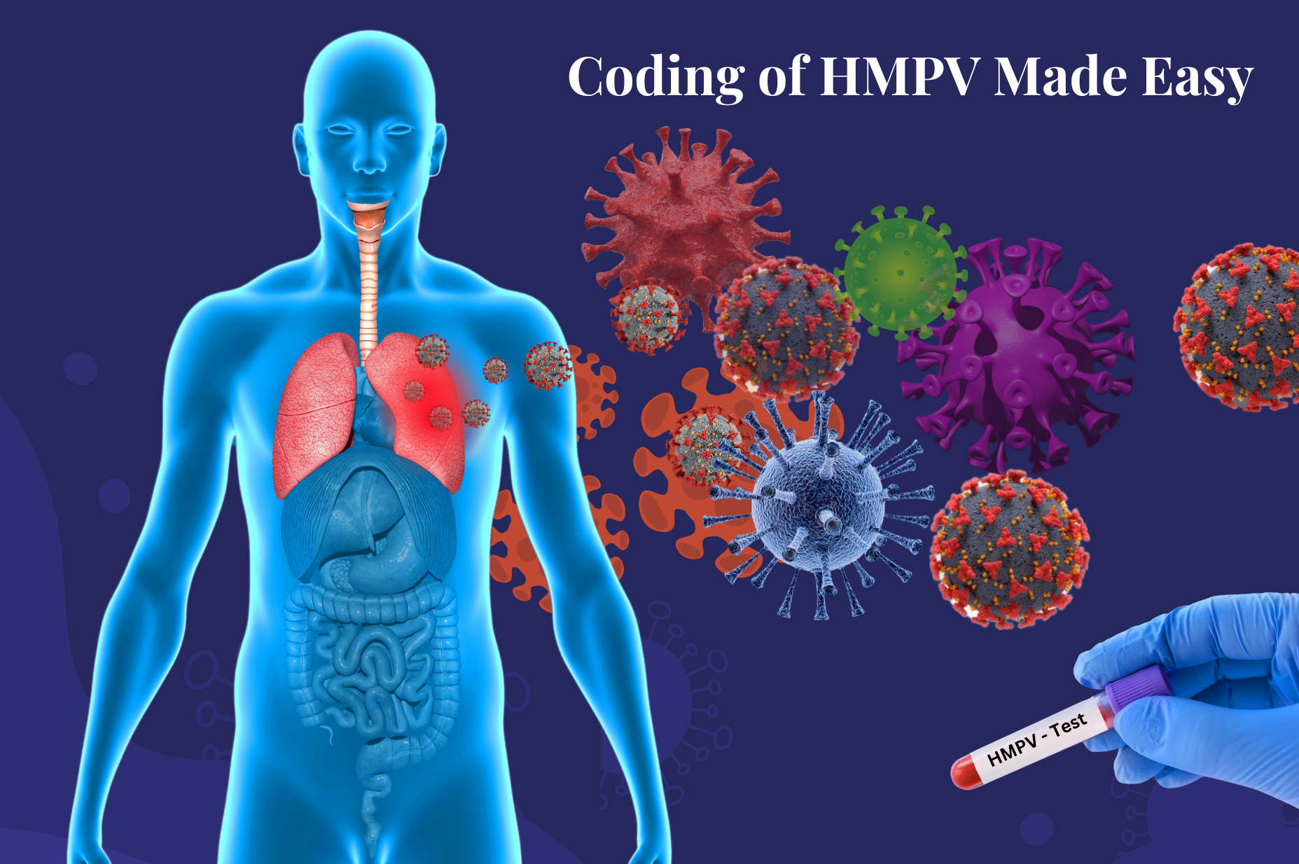 Coding of HMPV Made Easy