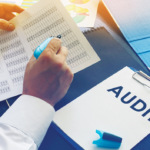 Risk Adjustment Data Validation Audit